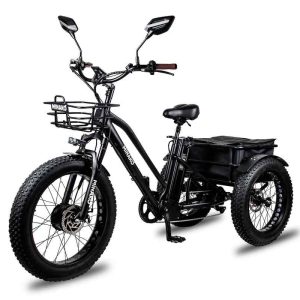 minako-trike