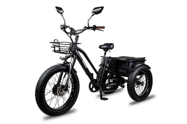 minako-trike