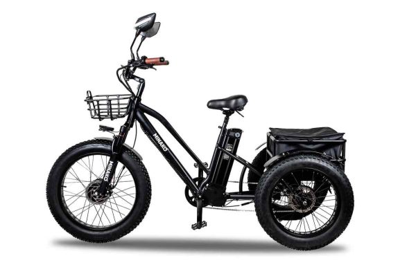 minako-trike