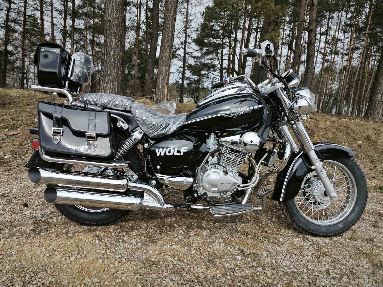 izobrazhenie_viber_2025-03-05_15-22-44-147